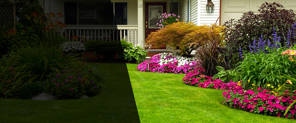 Minnetonka Beach Landscapers